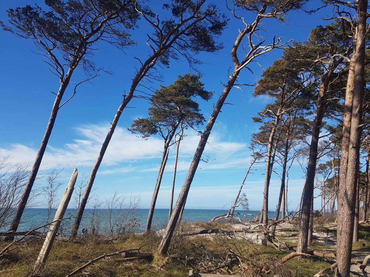 Darsser Koje Villa Wieck Eksteriør bilde